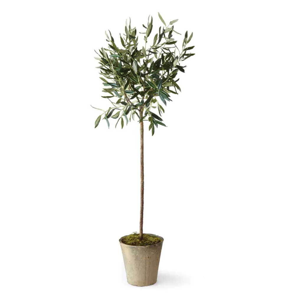 Ryan Large Potted Olive Tree - Beige, Ceramic