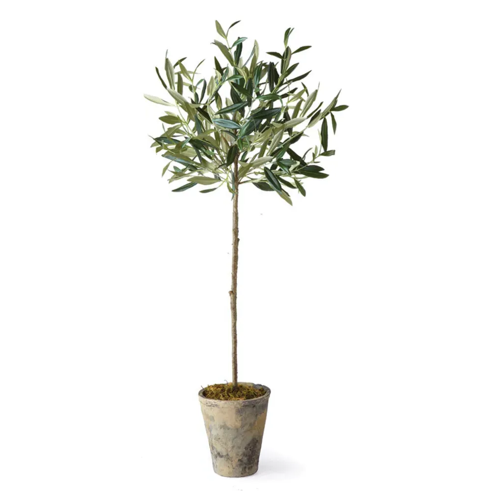 Ryan Small Potted Olive Tree - Beige, Ceramic image