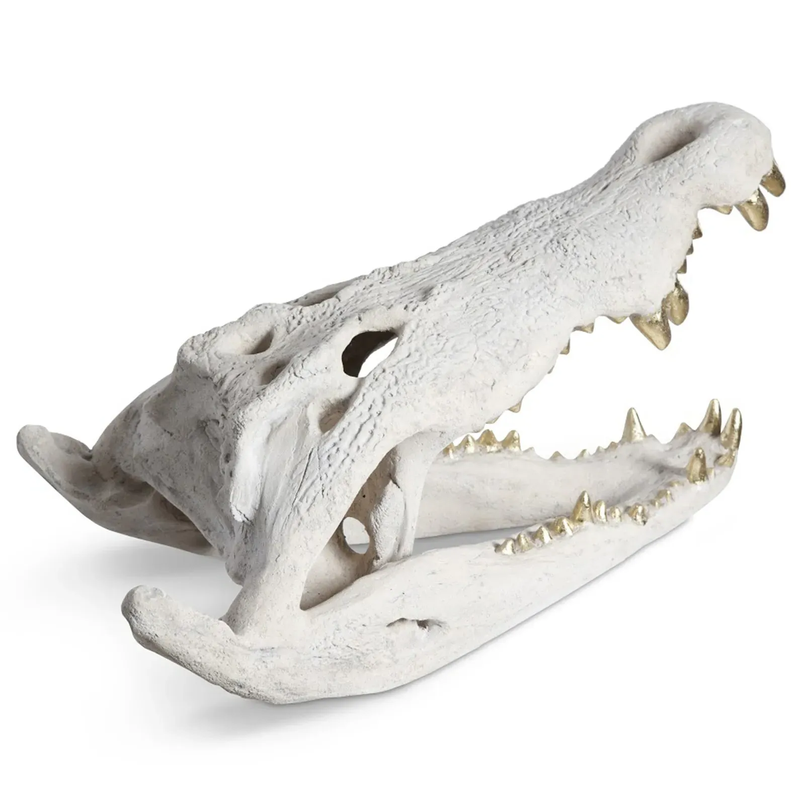 Santi Crocodile Skull Sculpture - White, Gold Leaf