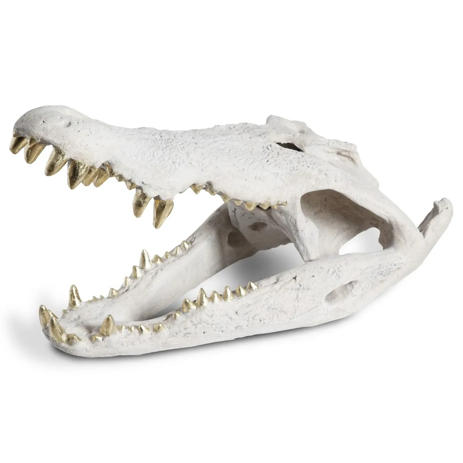 Santi Crocodile Skull Sculpture - White, Gold Leaf