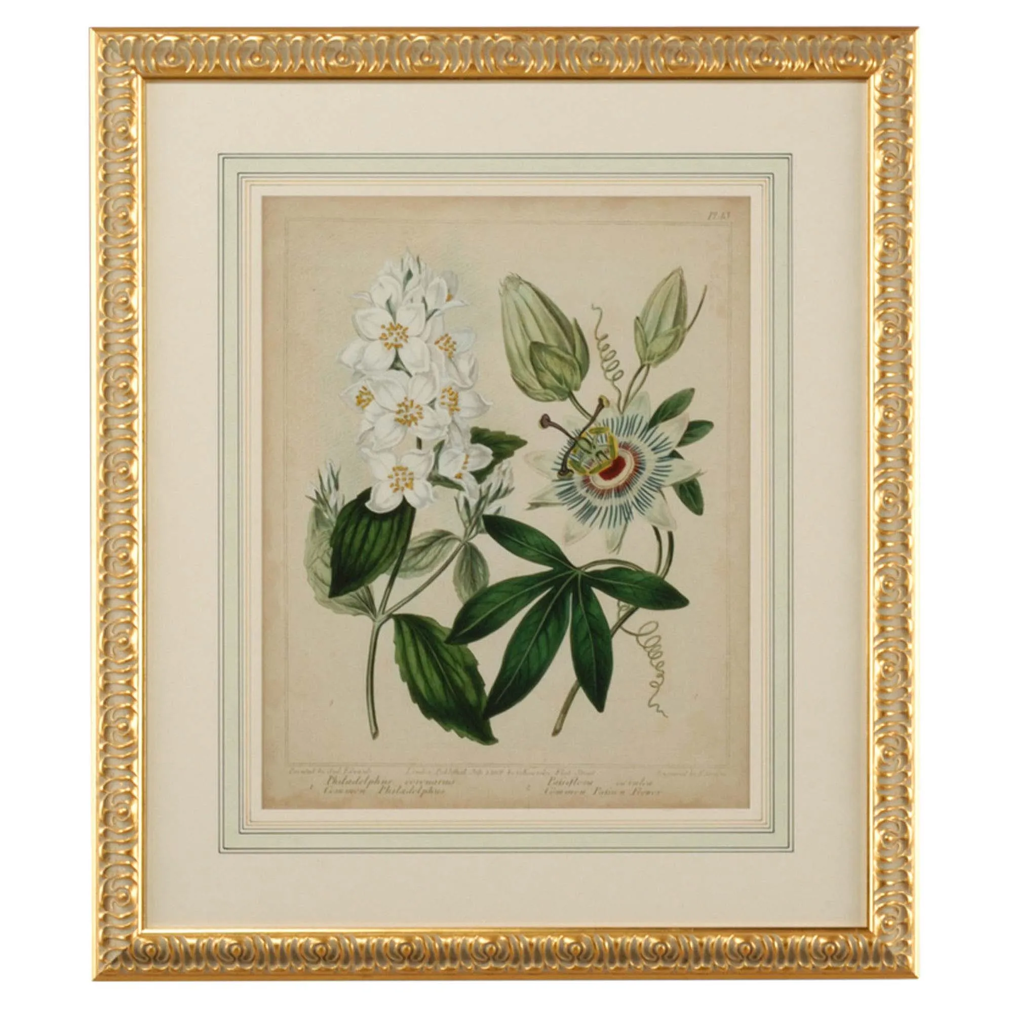 Sera Cottage Florals II Gold Leaf Frame Illustration - Green