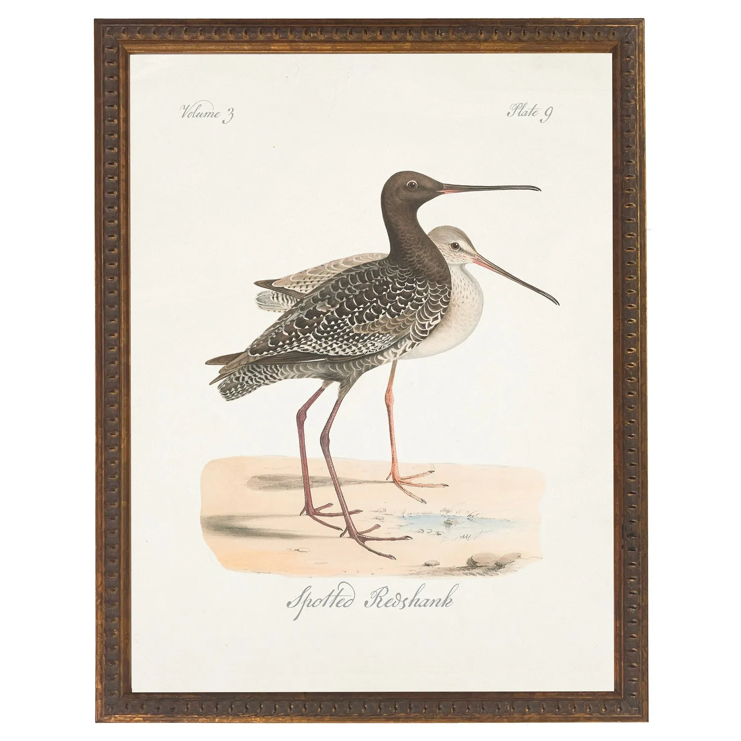 Serein Redshank Bird Antique Gold Frame Painting - Brown