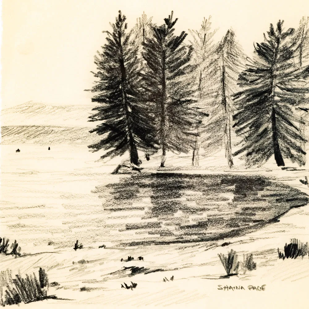 Serene I Illustration - Beige, Walnut