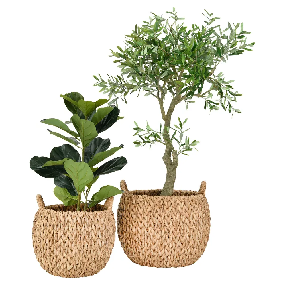 Severus Woven Water Hyacinth Floor Basket Set of 2 - Natural