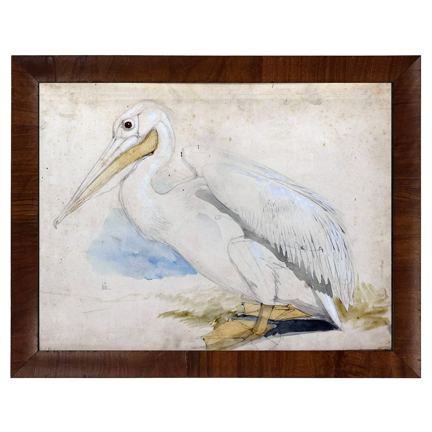 Soren White Pelican Walnut Burl Frame Painting - Brown