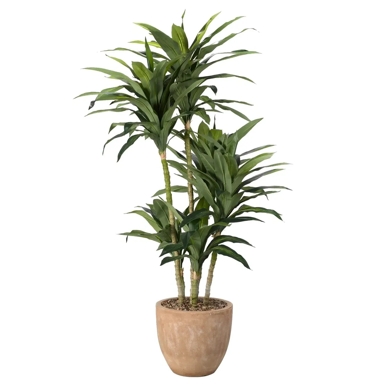 Sorrel Faux Dracaena Potted Tree - Green