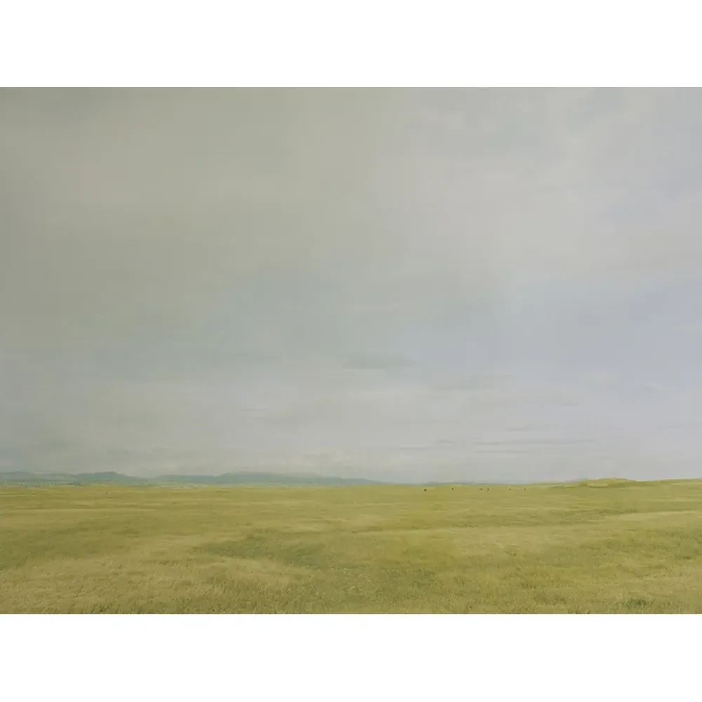 Summer Gold Photograph 32x24 - Yellow, Walnut