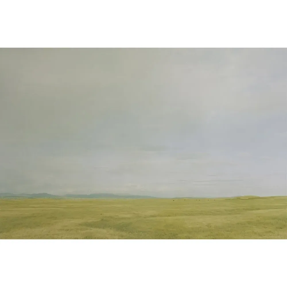 Summer Gold Photograph 45x30 - Yellow, Walnut