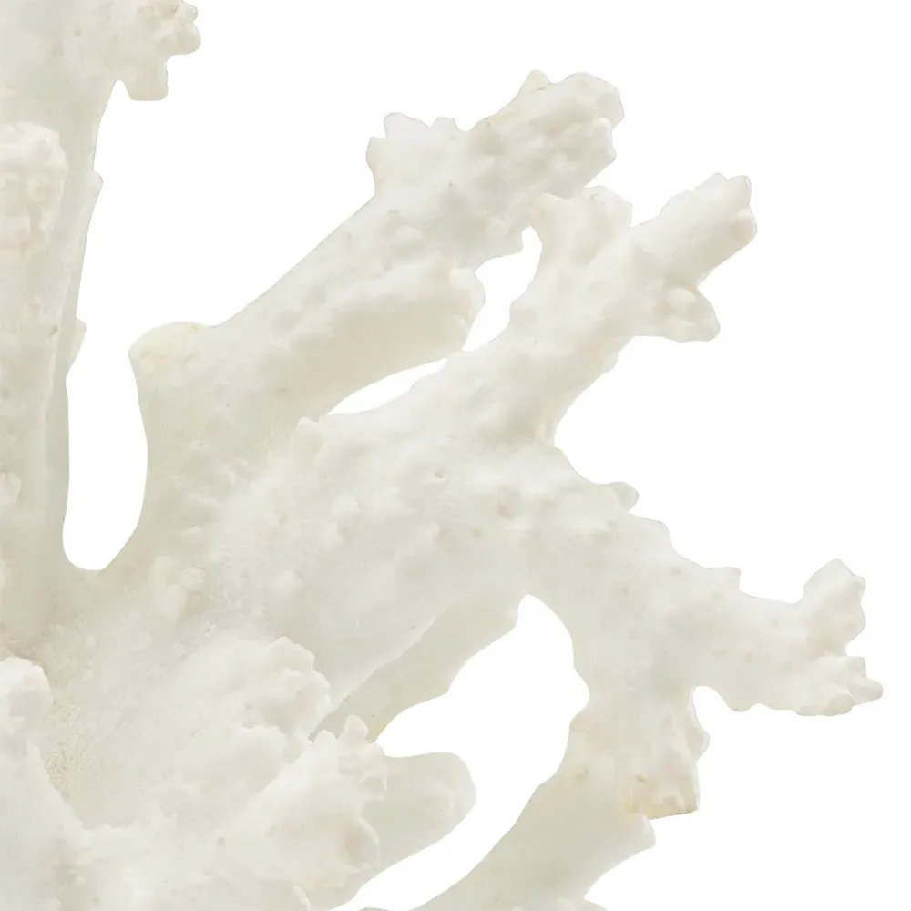 Tessa Coral Sculpture - White, Composite