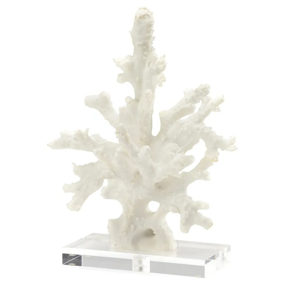 Tessa Coral Sculpture - White, Composite