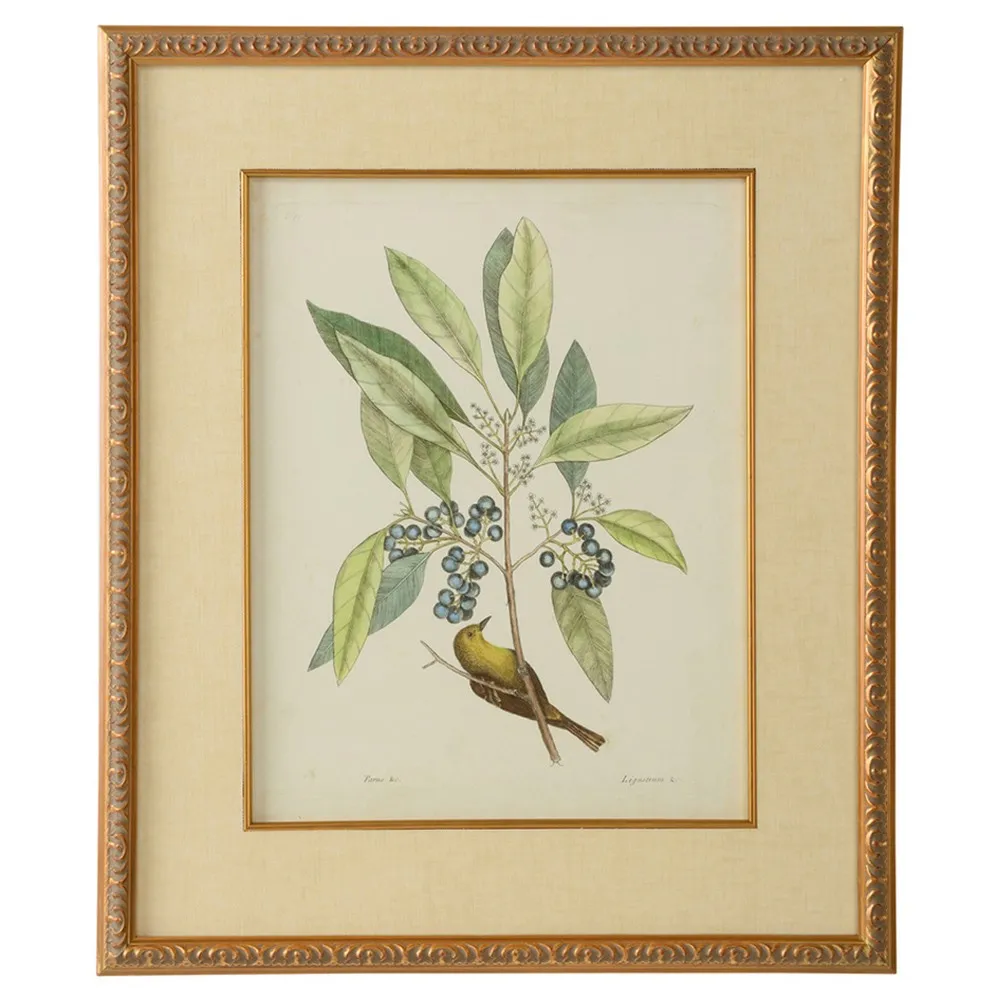 Thalina Chateau Black Frame Illustration - Grey