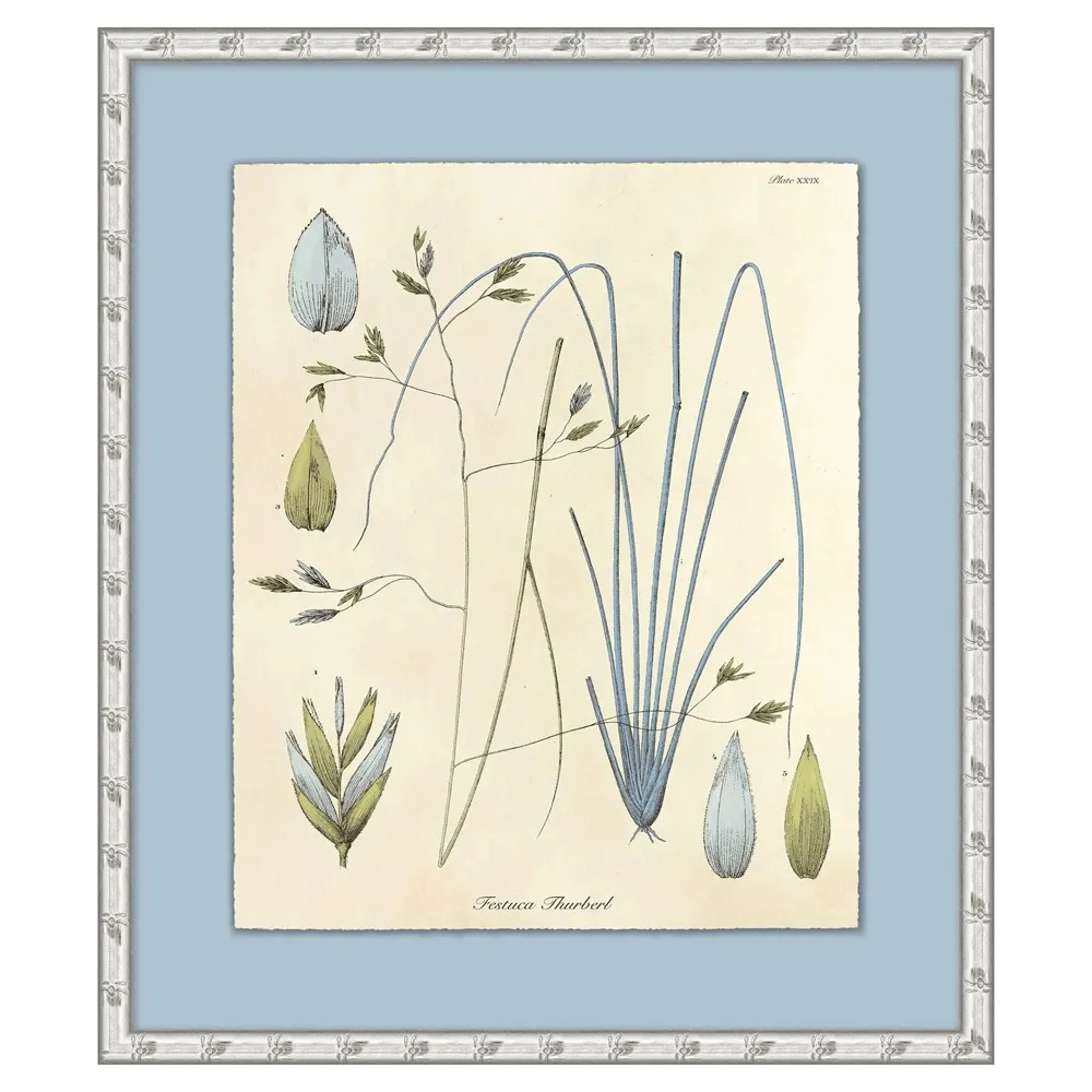 Thea Botanical Illustration 4 - Blue, Silver Frame