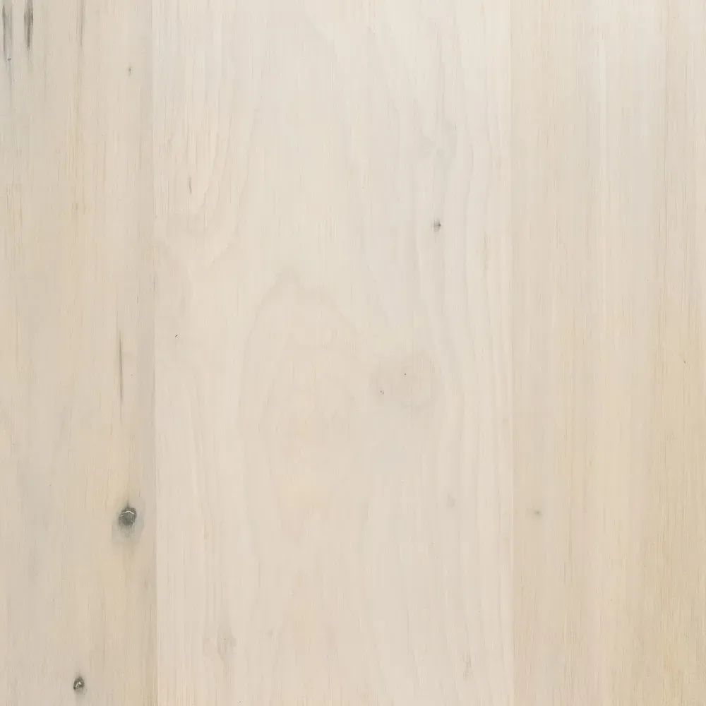 Theodore 2 Drawer 2 Door Media Cabinet - White, Poplar Wood