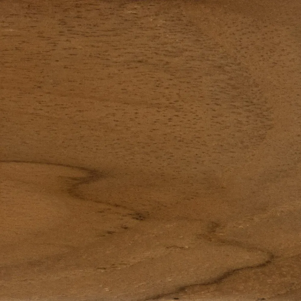 Tina Upholstered Outdoor Dining Chair - White, Teak