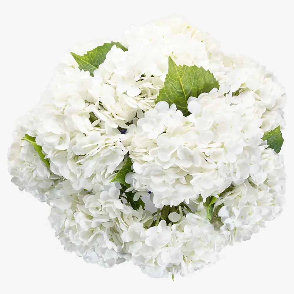 Tisdale Hydrangea Toile Vase Faux Floral Arrangement - White