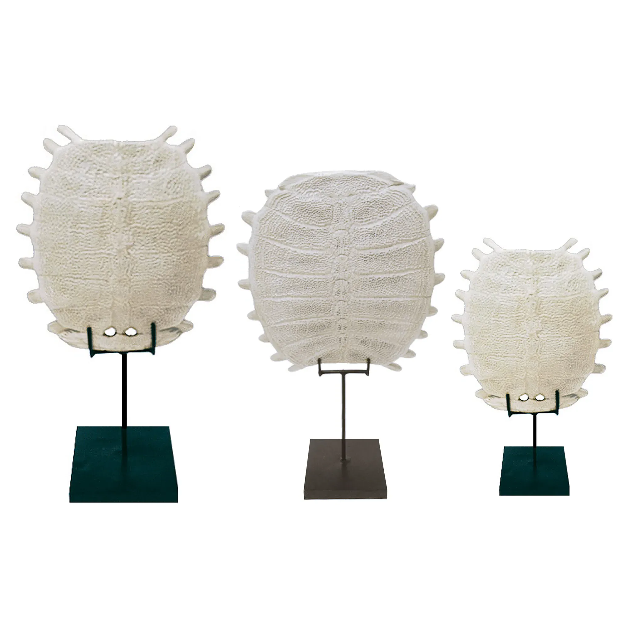 Tortuga Shell Sculptures Set of 3 - White, Resin image