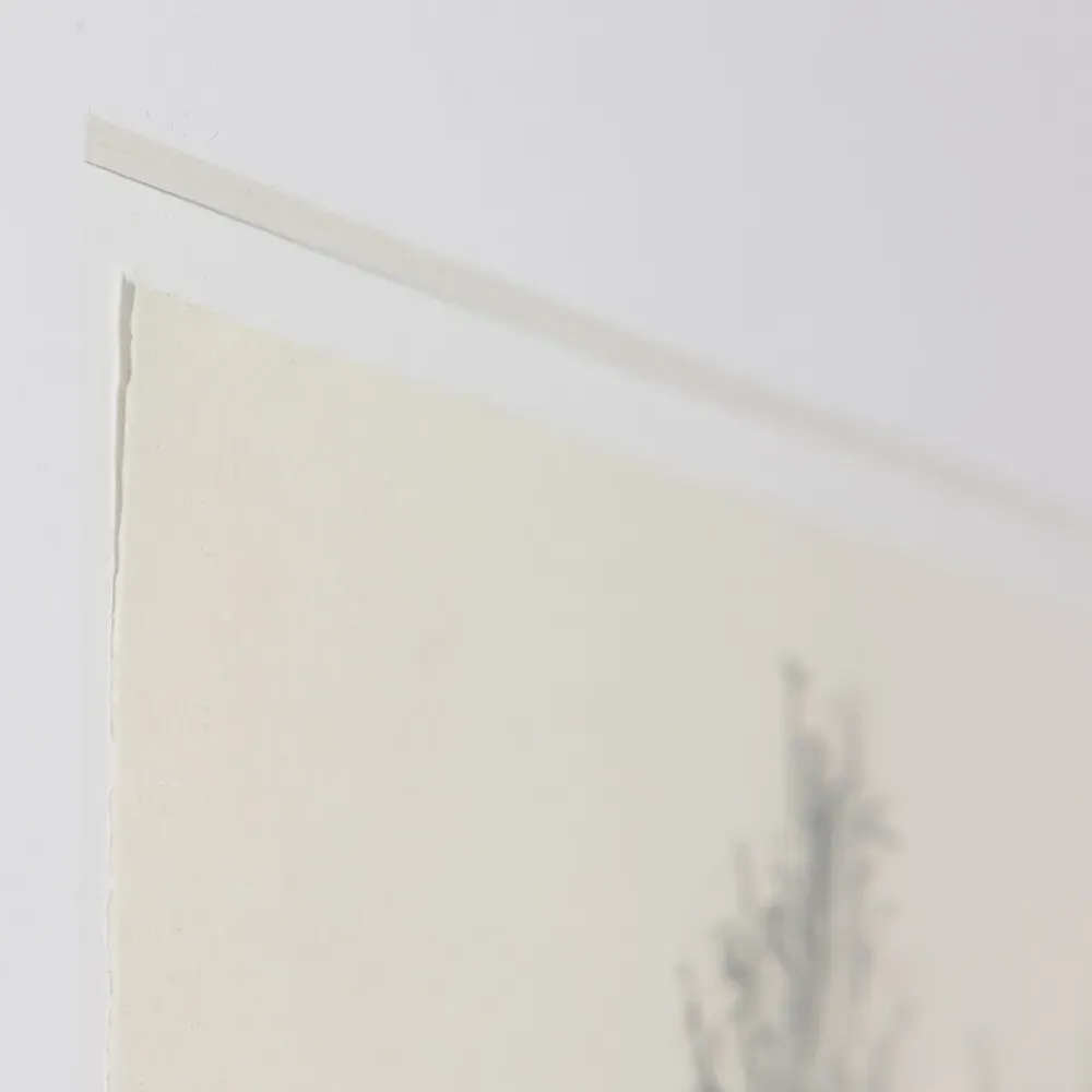 Tree Sketch Wall Art - Brown, Walnut