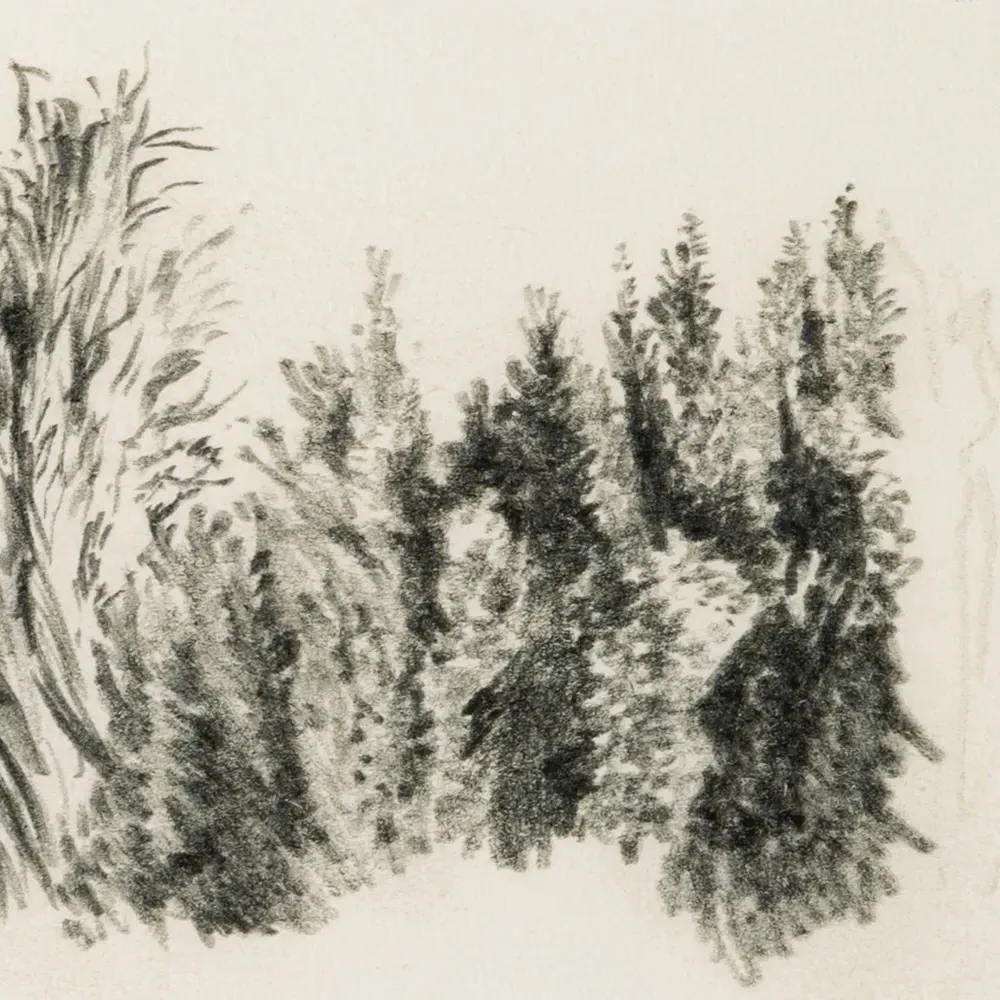 Tree Sketch Wall Art - Brown, Walnut