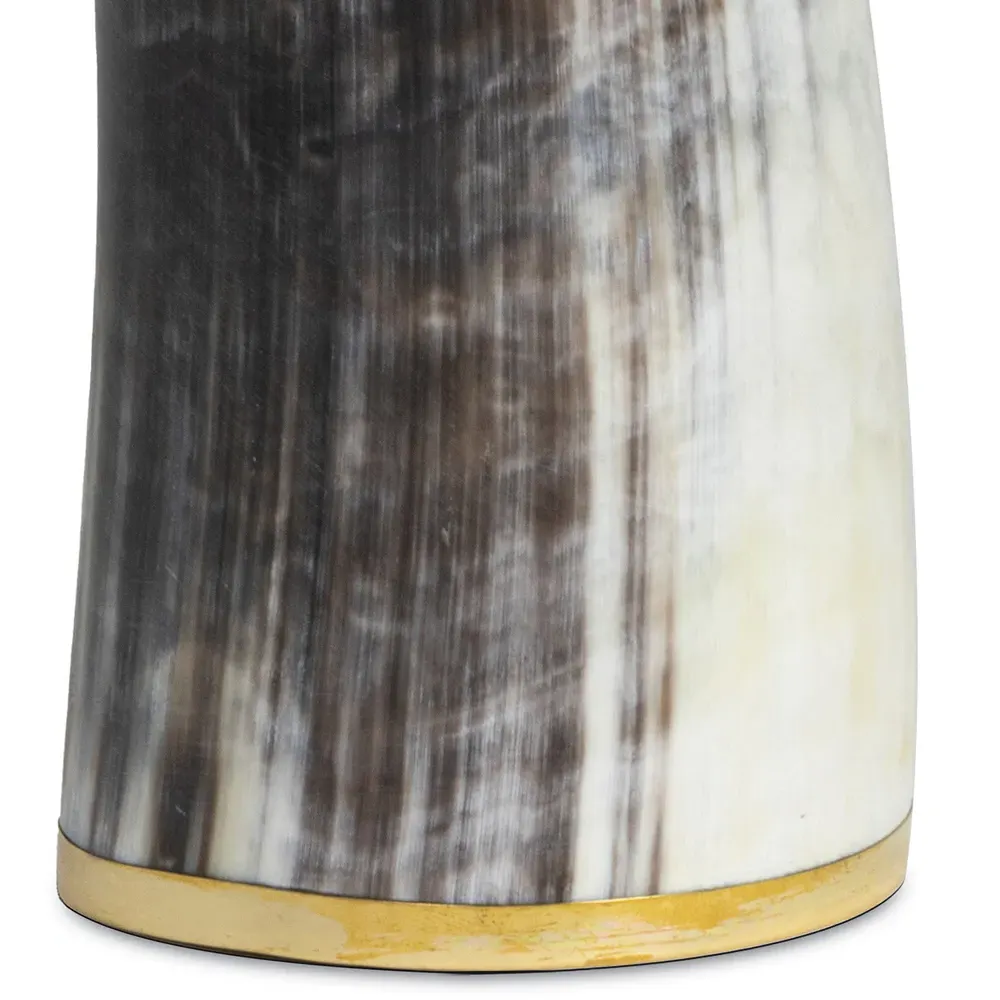 Troy Small Decorative Table Vase - Natural, Horn
