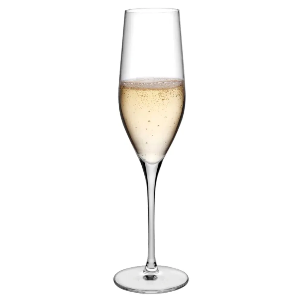 Vinifera Crystal Champagne Glass Set of 2 - Clear