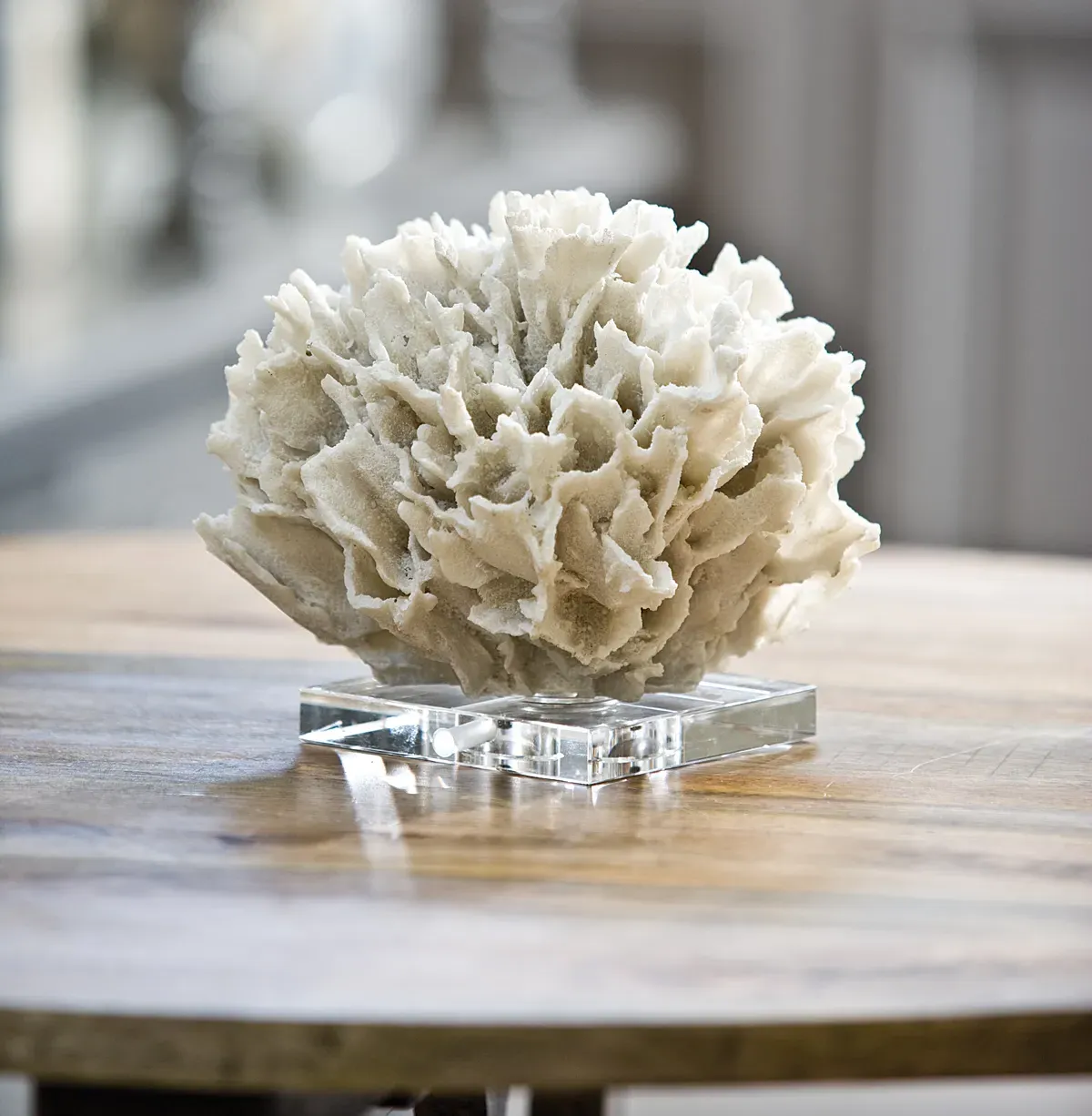 White Ribbon Coral Decorative Sculpture - White, Crystal