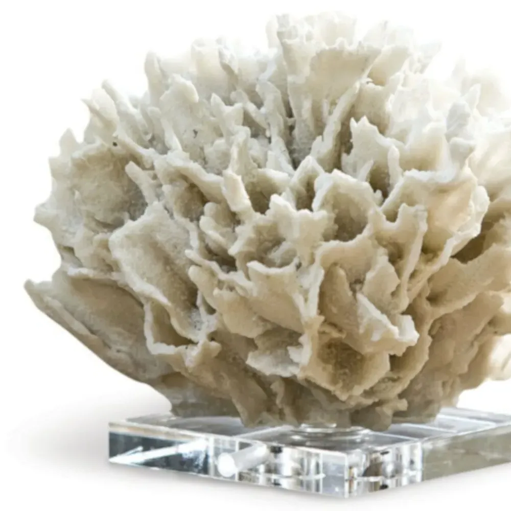 White Ribbon Coral Decorative Sculpture - White, Crystal
