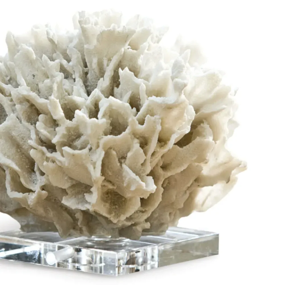 White Ribbon Coral Decorative Sculpture - White, Crystal