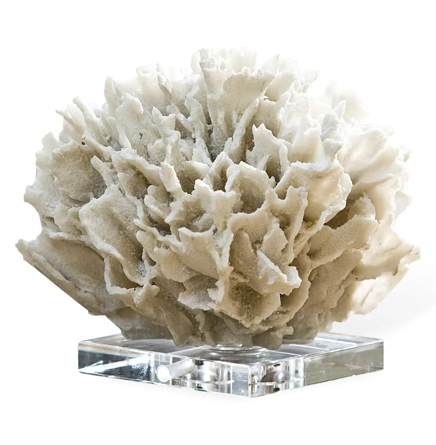 White Ribbon Coral Decorative Sculpture - White, Crystal image