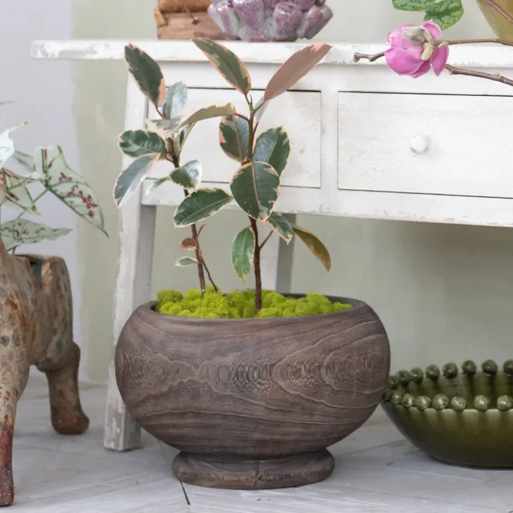 Wrenlee Square Outdoor Planter - Brown, Paulownia Wood