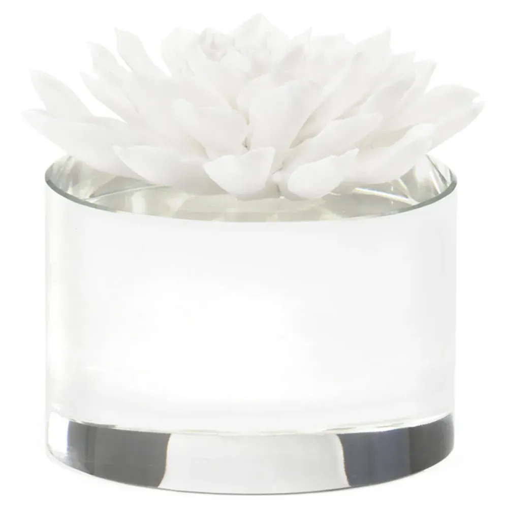 Yessa Succulent Sculpture - White, Porcelain