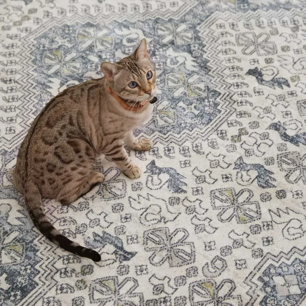 Yohan Medallion Patterned Washable Rug - Blue, Polyester