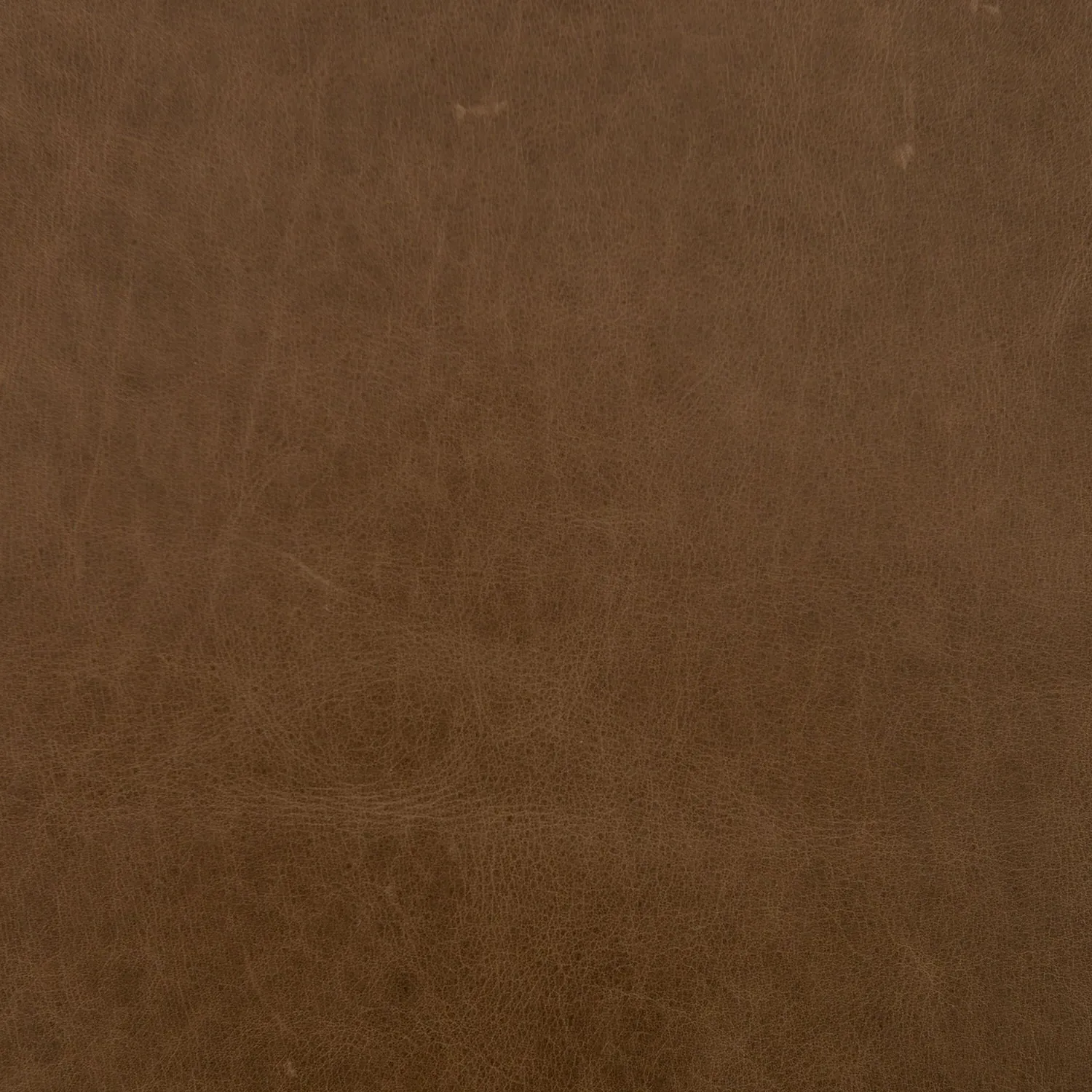 Zarro Cushioned Bench - Brown, Leather