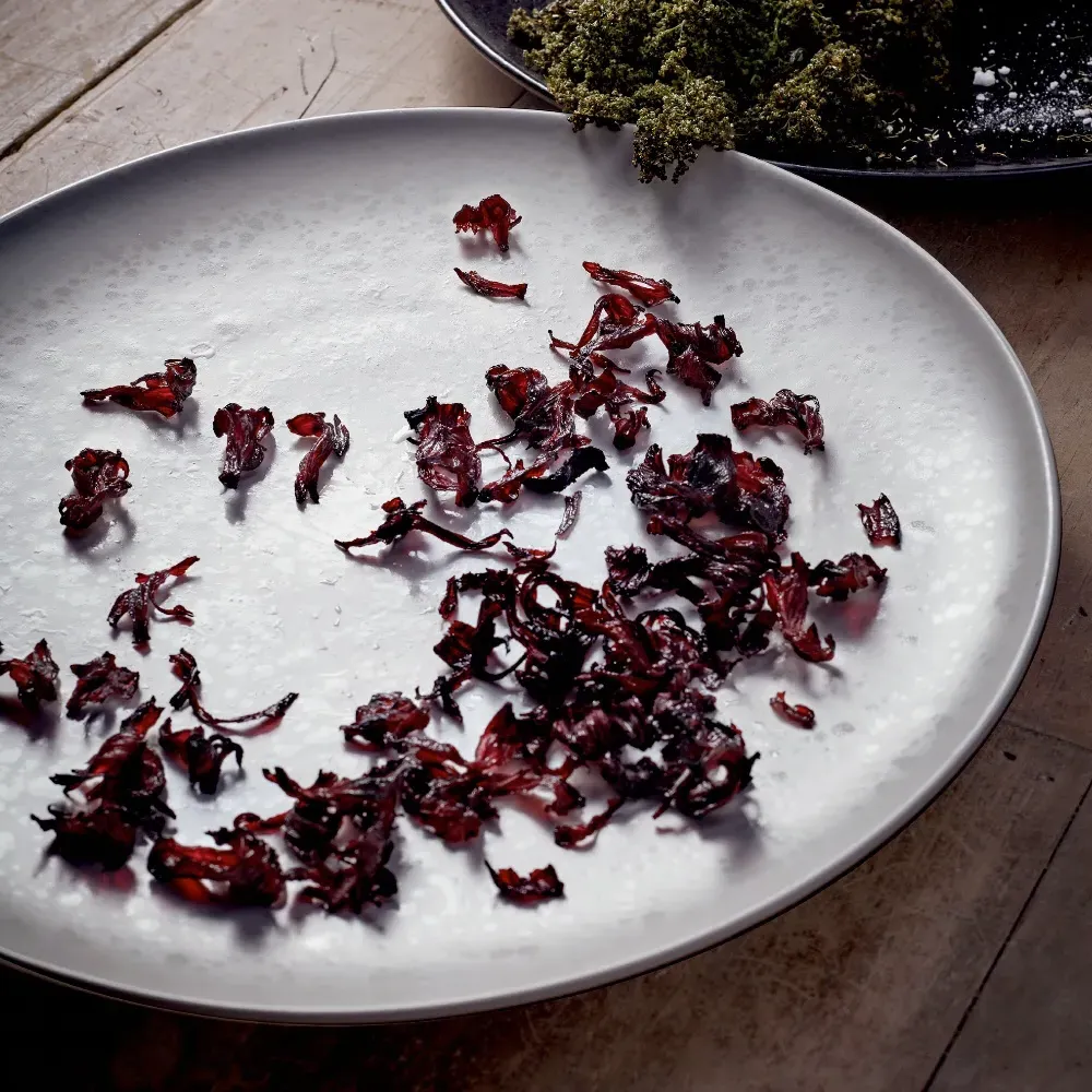 Alchimie Dessert Plate - White, Earthenware