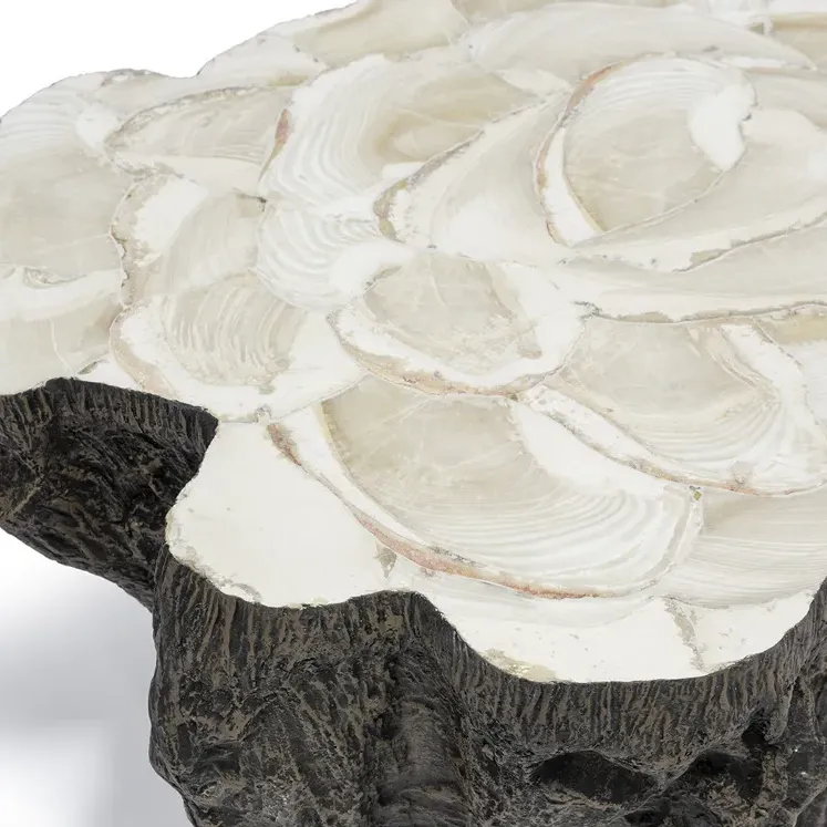 Chloe Oval Coffee Table with Fossilized Clam Shell Top - Brown