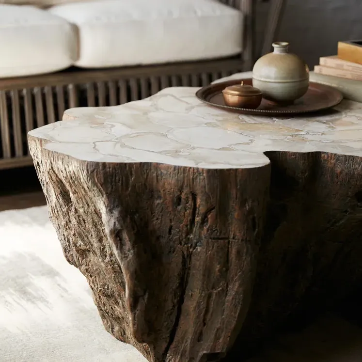 Chloe Oval Coffee Table with Fossilized Clam Shell Top - Brown
