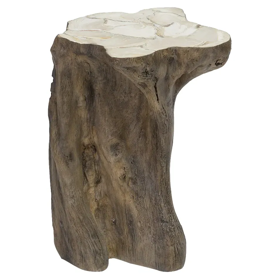 Chloe Side Table with Fossilized Shell Top - Brown image