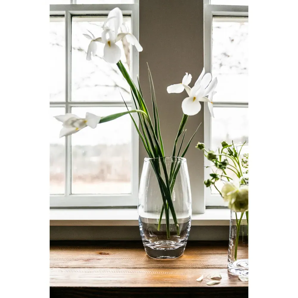 Burlington Glass Amphora Vase - Clear
