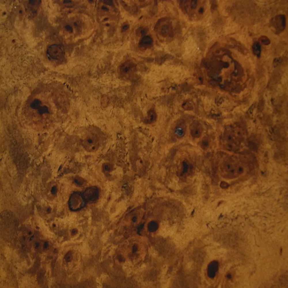 Putnam Square Shelving Side Table - Brown, Burl Wood