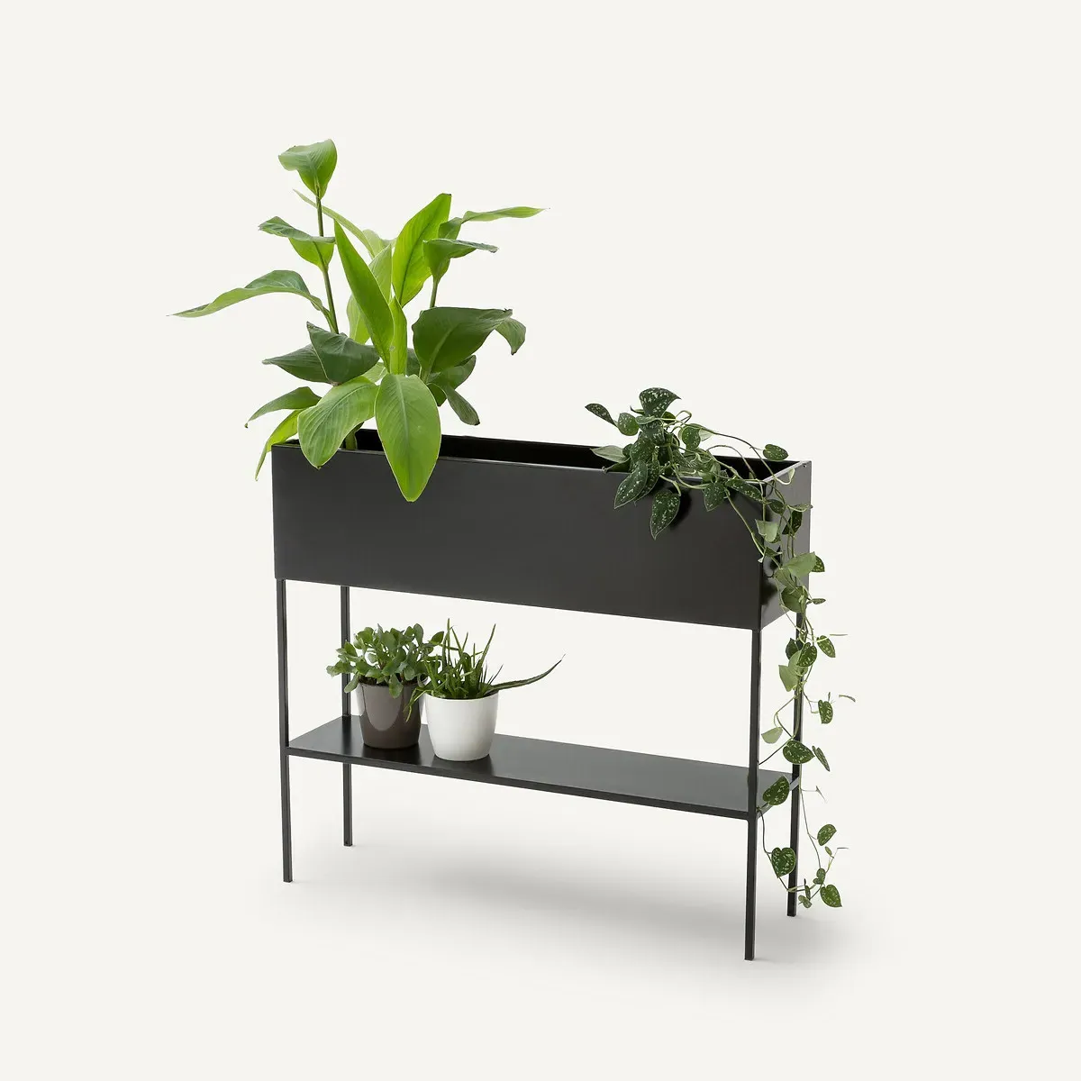 Consuela Iron Planter Console Table - Matt Black alternate view