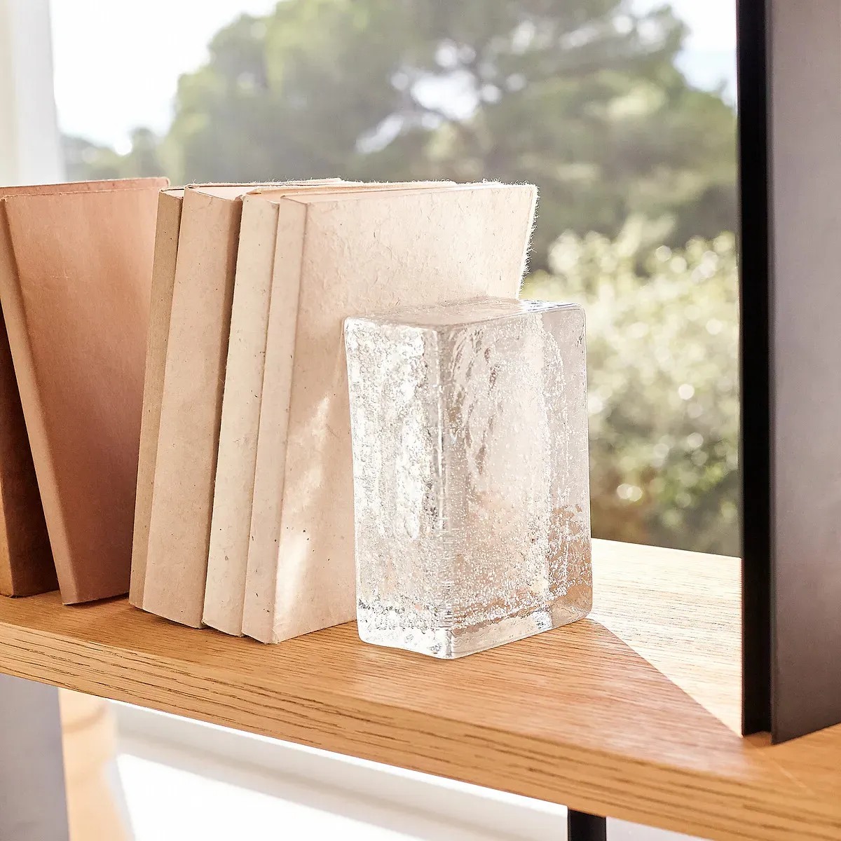 Diafani Glass Bookends Set of 2 - Transparent alternate view