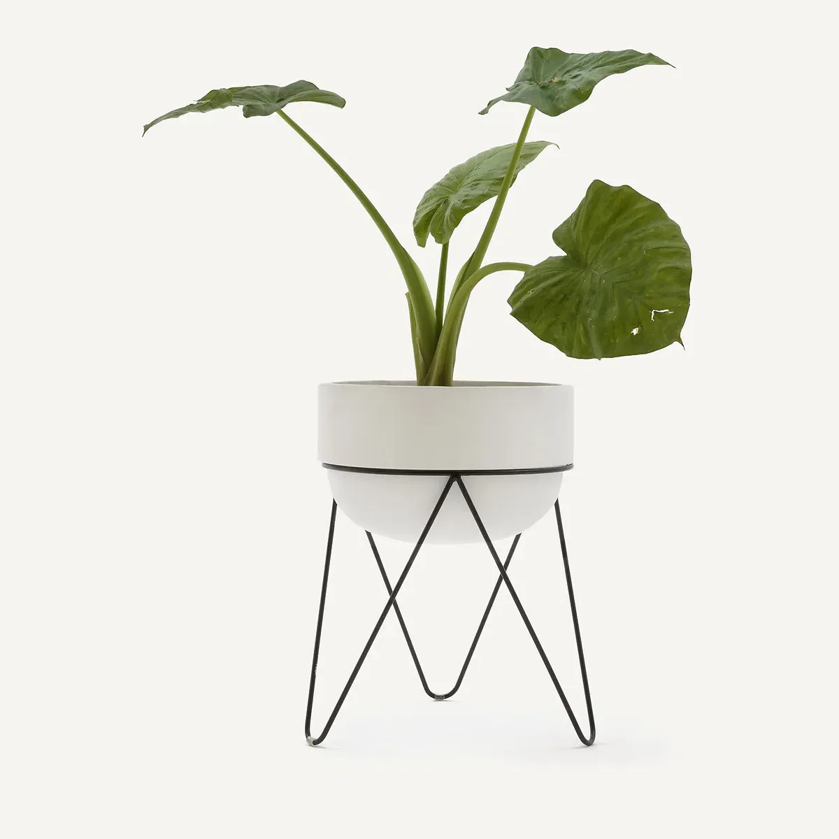Plantae Flower Pot - White, Ceramic alternate view