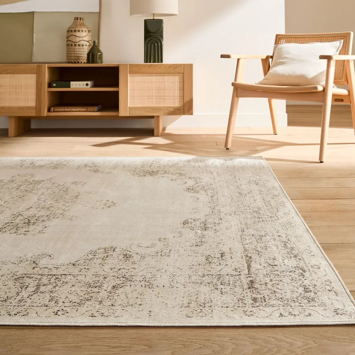 Diona Printed Used-Effect Rug - Beige, Viscose product