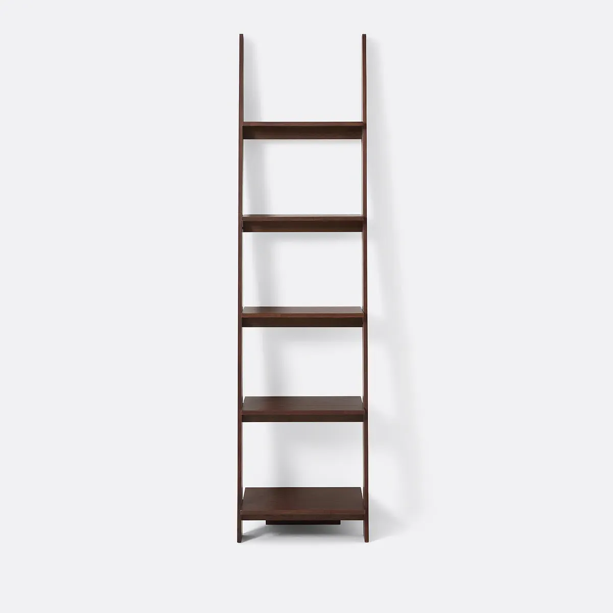 Domeno Wall-Mounted Ladder Bookcase - Walnut, Ash Veneer alternate view