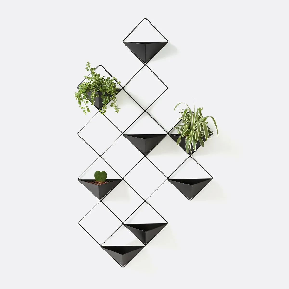 Ikebana Metal Wall Planter - Black product