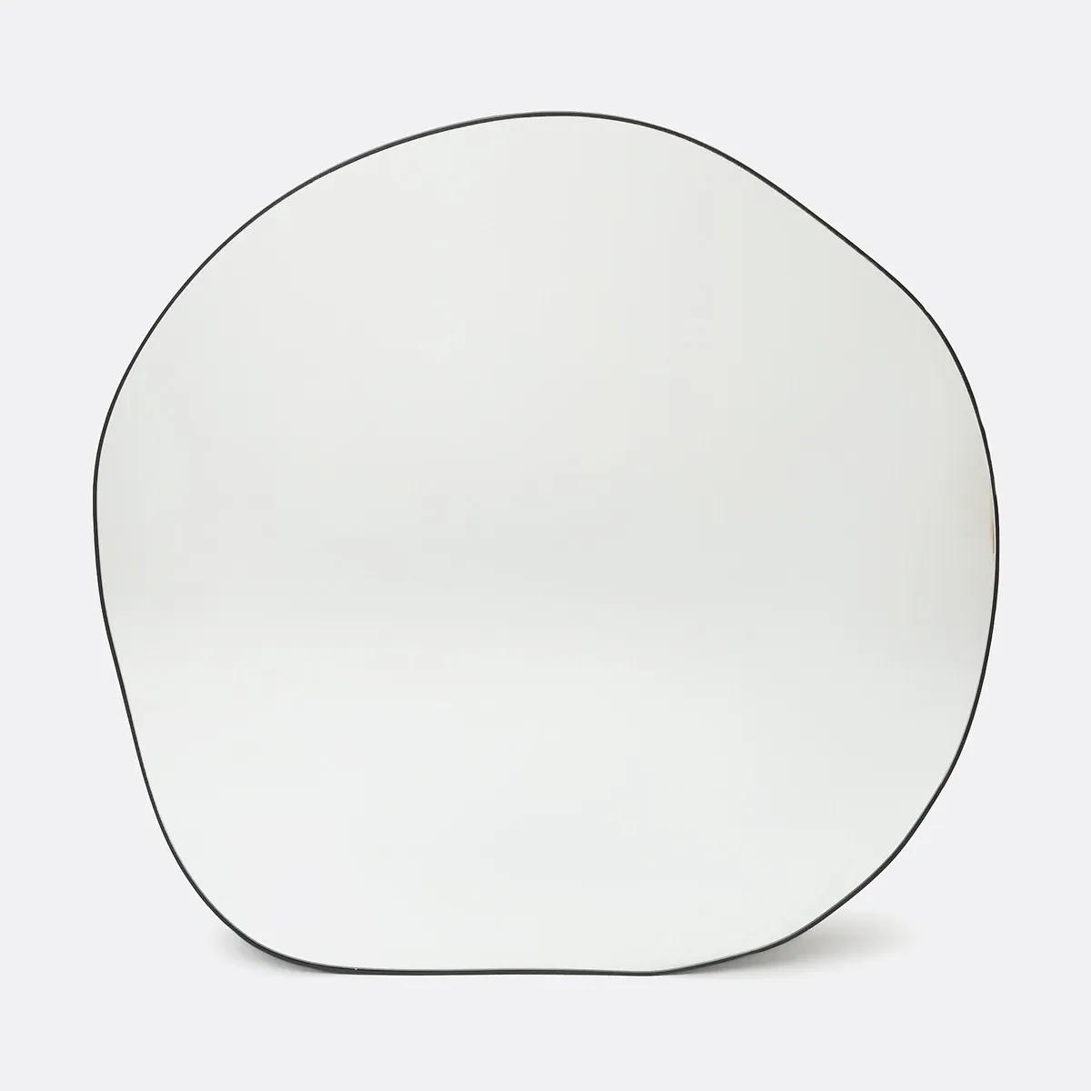 Ornica Organic Shaped Wall Mirror - Black, Iron product