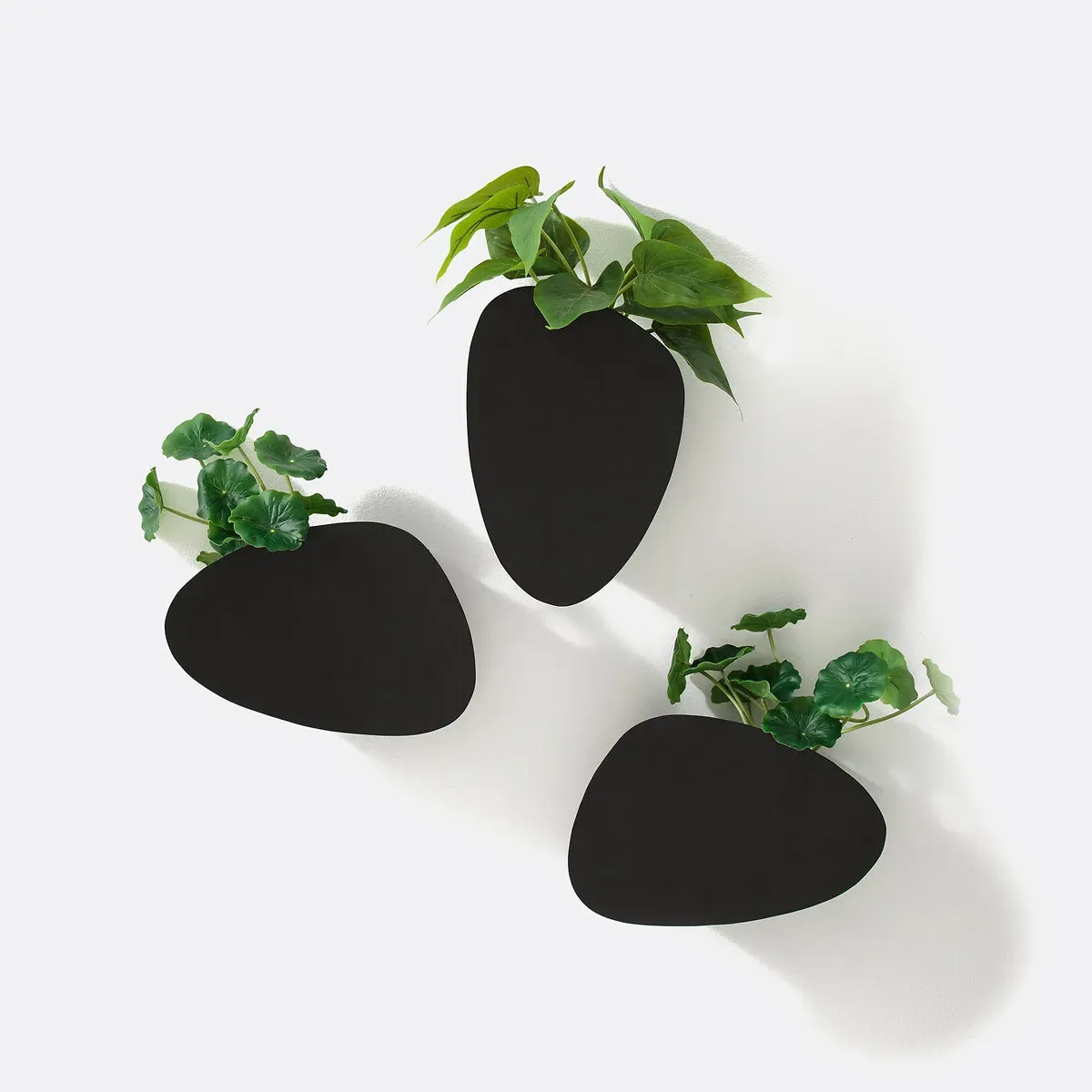 Pavo Set of 3 Wall Planters - Black, Iron alternate view