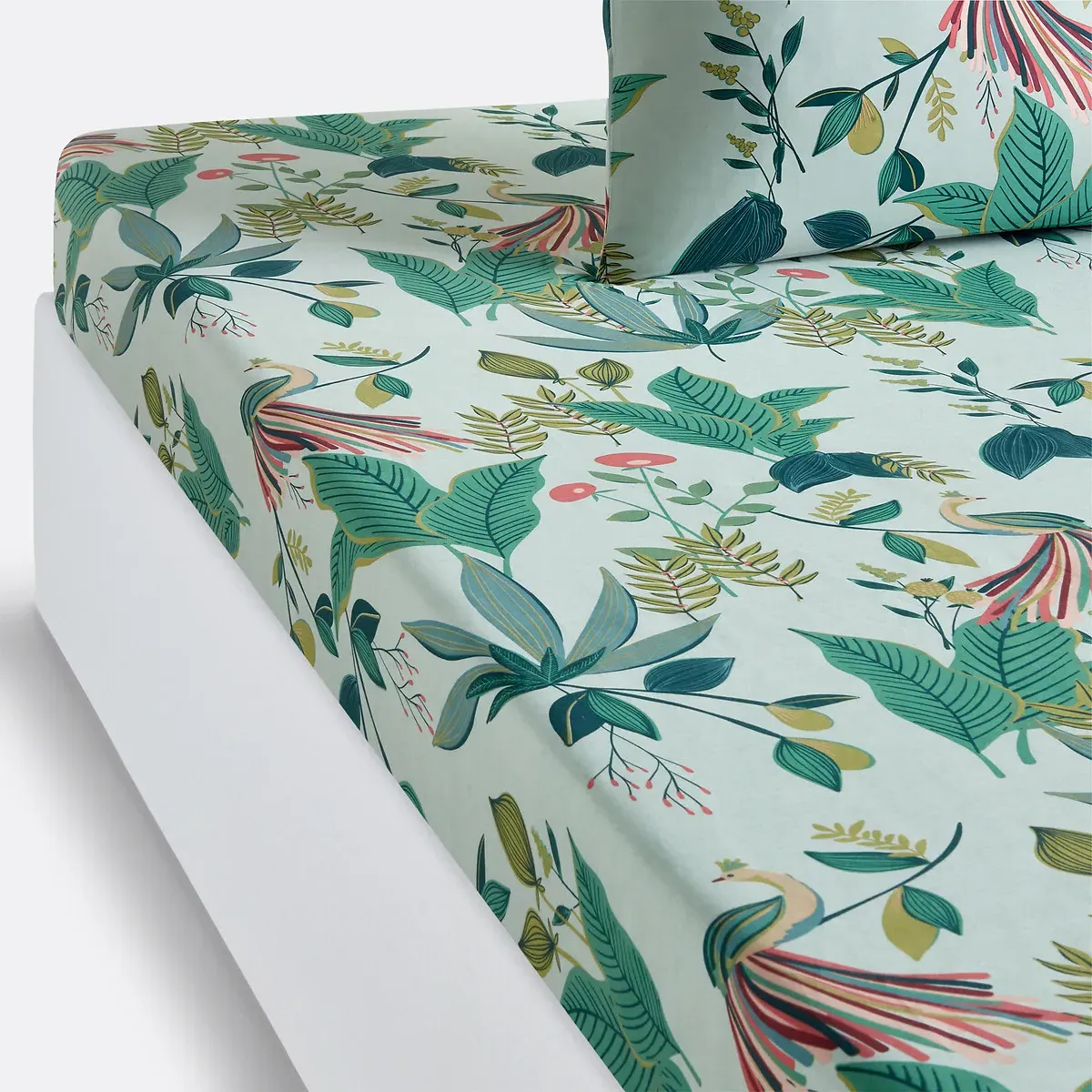 Somerset Tropical Fitted Sheet - Printed, Cotton Percale product
