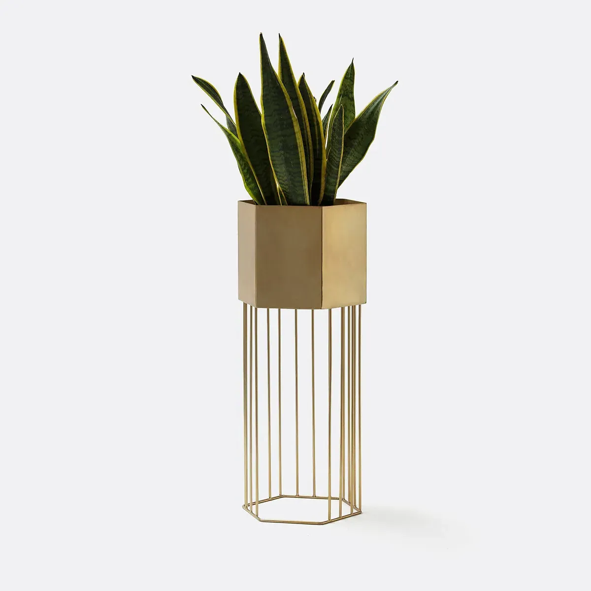 Topim Round Raised Planter - Brass, Metal Wire product