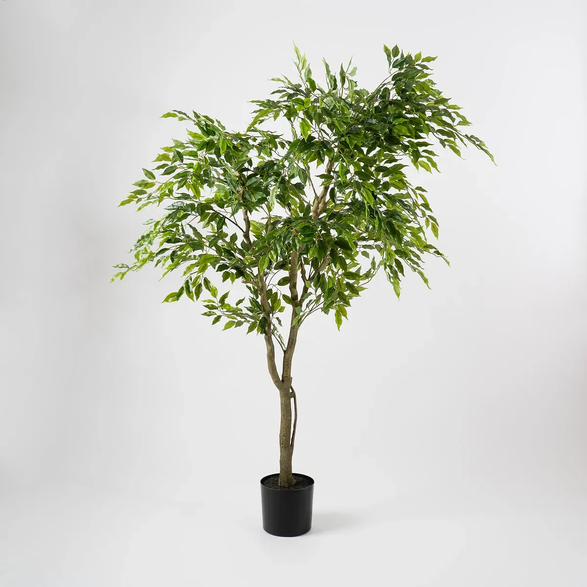 Real Touch KD Ficus in Plastic Pot - Green alternate view