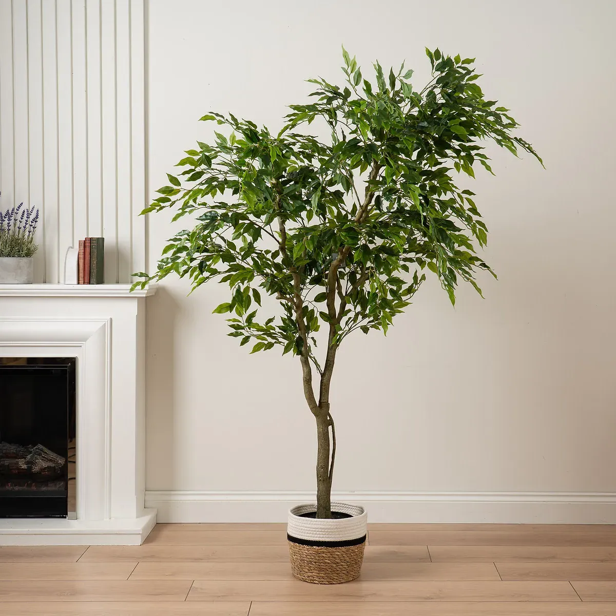 Real Touch KD Ficus in Plastic Pot - Green product